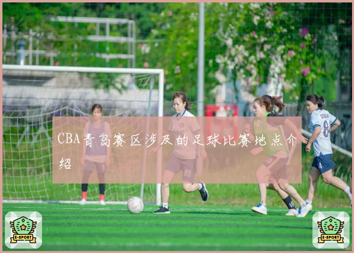 CBA青岛赛区涉及的足球比赛地点介绍