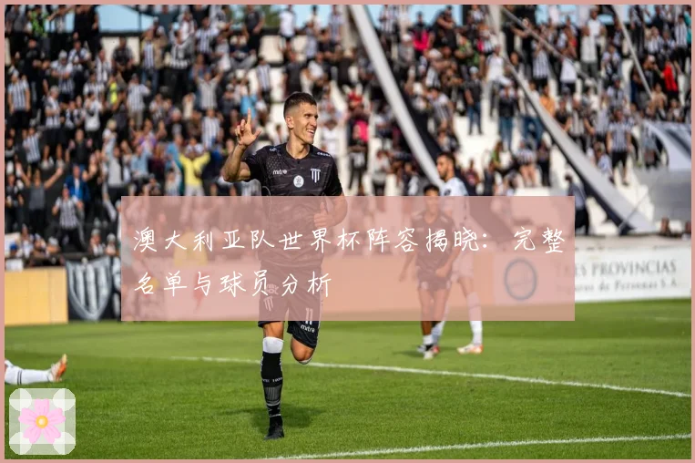 澳大利亚队世界杯阵容揭晓：完整名单与球员分析